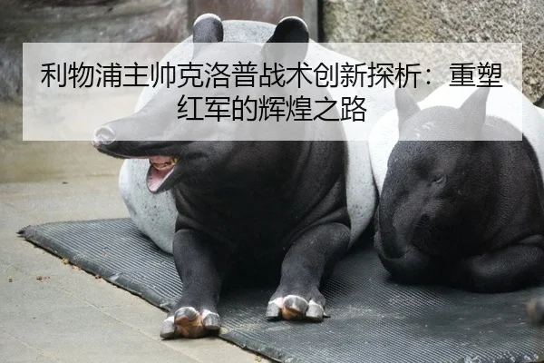 利物浦主帅克洛普战术创新探析：重塑红军的辉煌之路