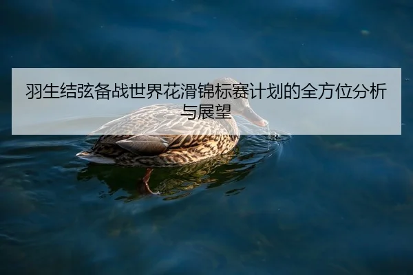 羽生结弦备战世界花滑锦标赛计划的全方位分析与展望